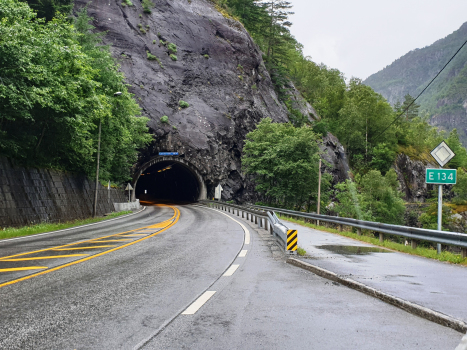 Tunnel de Fjæra