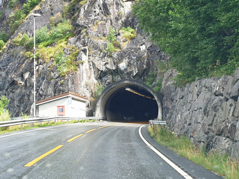 Tunnel de Fjæra