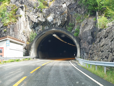 Tunnel Fjæra