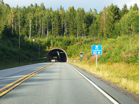 Frogn Tunnel