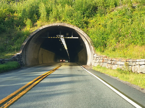 Tunnel de Frogn