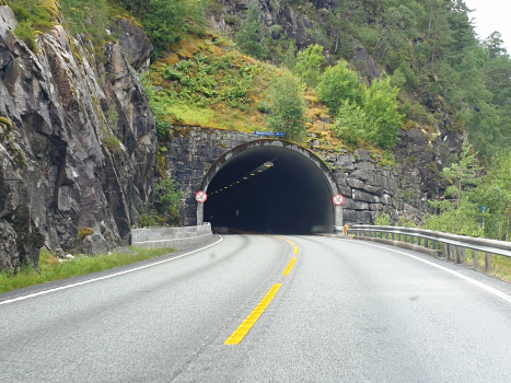 Tunnel de Glymje