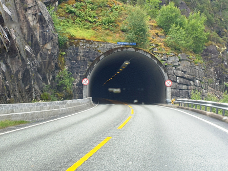 Tunnel Glymje