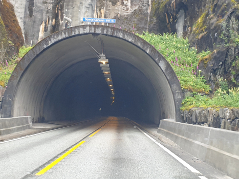 Tunnel de Glymje