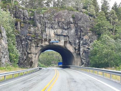 Tunnel de Klype