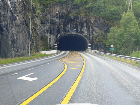 Tunnel de Markhus