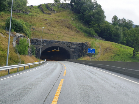 Tunnel Nese