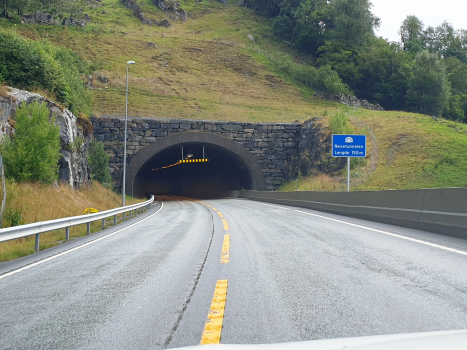 Nese Tunnel