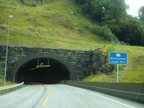 Tunnel de Nese