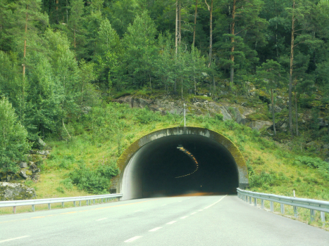 Tunnel de Rullestad