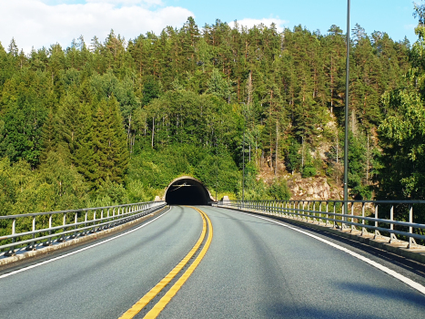 Stampeleinås Tunnel