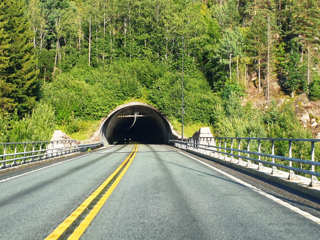 Stampeleinås-Tunnel