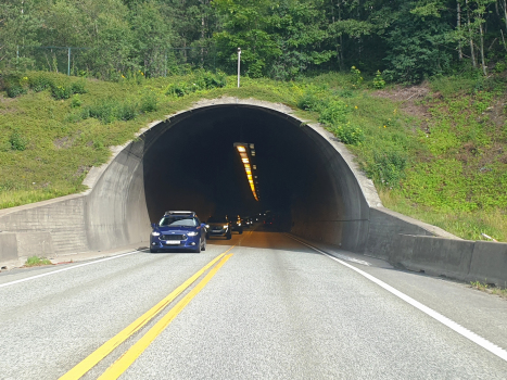Tunnel de Strømsås