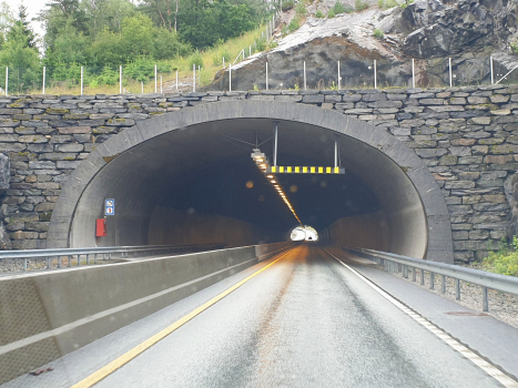 Tunnel Vikanes