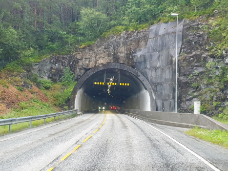 Tunnel de Hatlaås
