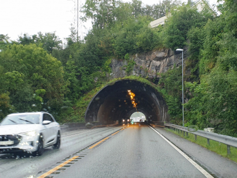 Tunnel de Skugge