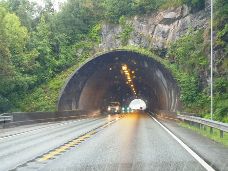 Skugge-Tunnel