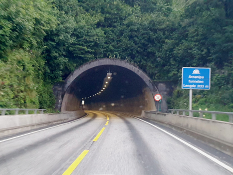 Tunnel de Arnanipa