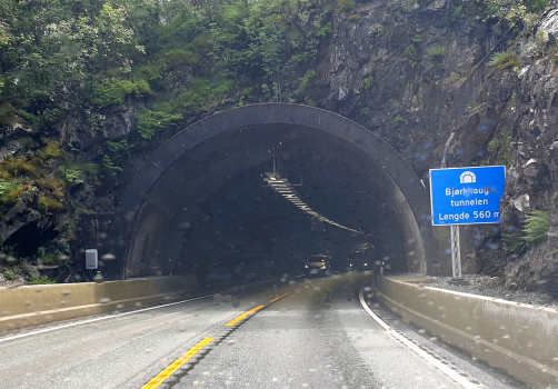 Bjørkhaug Tunnel