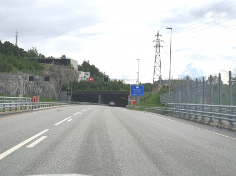 Bjørnegård Tunnel