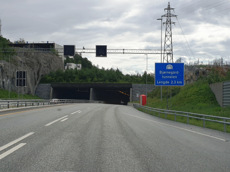 Bjørnegård Tunnel