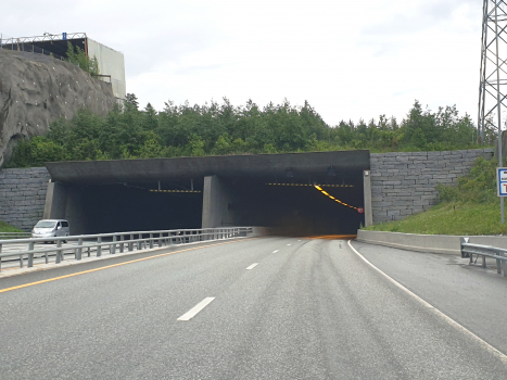 Bjørnegård-Tunnel