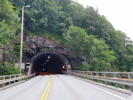 Boga Tunnel