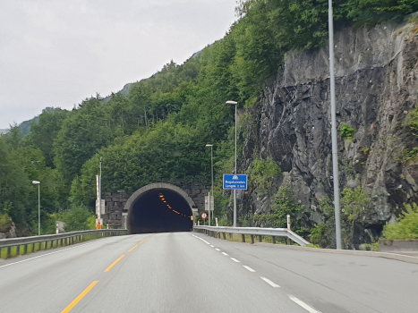 Tunnel de Boga