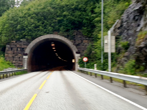 Boga Tunnel