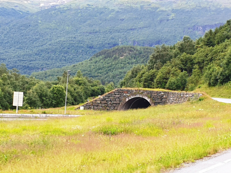 Borgund-Tunnel