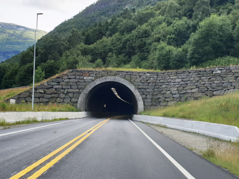Tunnel de Borgund
