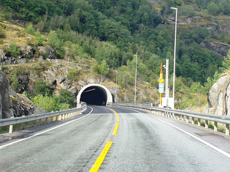 Tunnel de Borgund