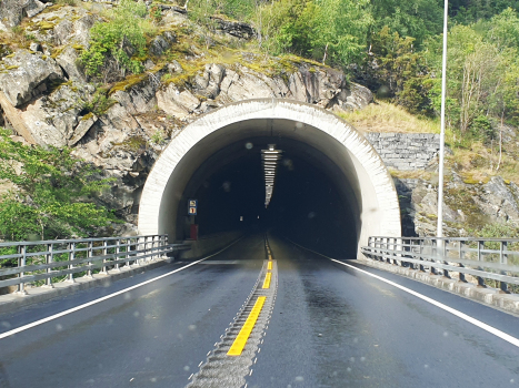 Borgund Tunnel