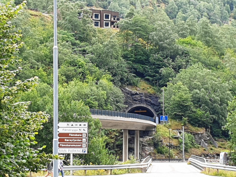 Brekke Bridge and Fretheim Tunnel western portal