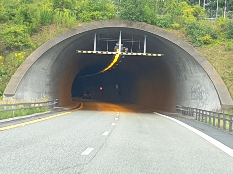 Tunnel de Brenne