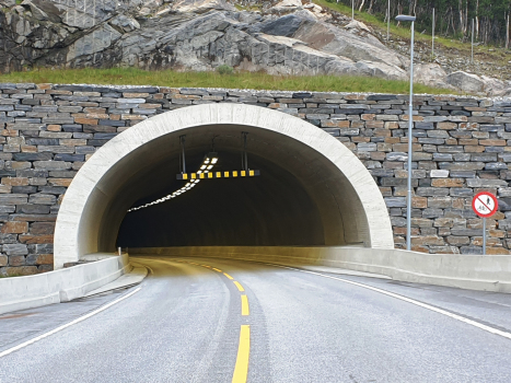 Tunnel de Filefjell