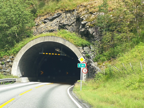 Flenja tunnel