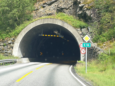 Tunnel Flenja