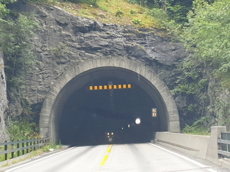 Tunnel de Fretheim