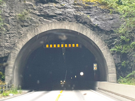 Tunnel de Fretheim