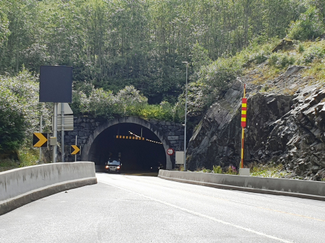Tunnel de Gudvanga