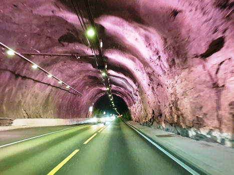 Tunnel de Gudvanga