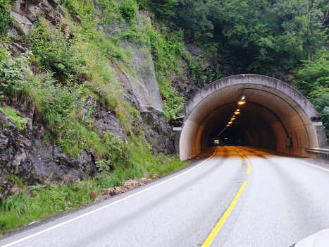 Jamna Tunnel