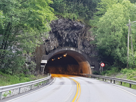 Tunnel Jamna