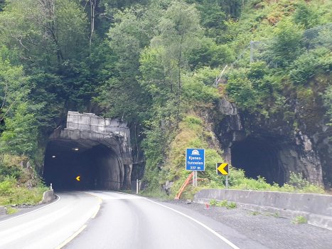 Tunnel de Kjenes
