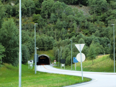 Tunnel de Lærdal