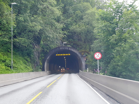 Tunnel de Langhelle