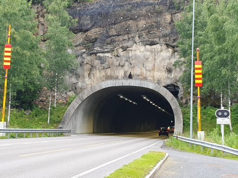 Tunnel de Lunner