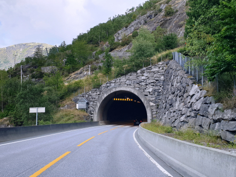 Onstad Tunnel