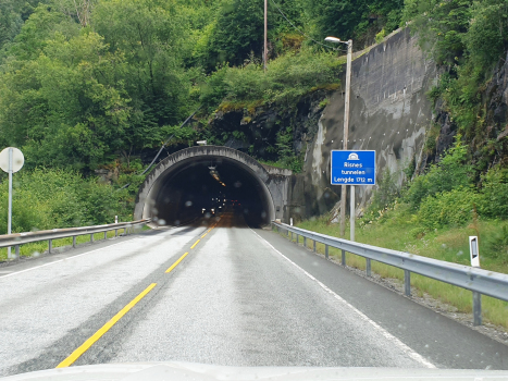 Tunnel de Risnes